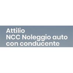 Autonoleggio con conducente NCC Multiservizi