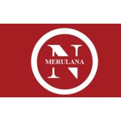 Numismatica Merulana