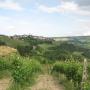 Azienda Agricola
