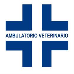 Guerrieri Dr Giorgio Veterinario