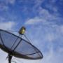 Impianti Elettrici Bertoncelli Antenne Satellitari
