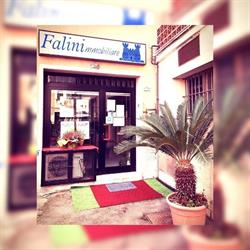 Agenzia Immobiliare Falini