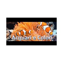 Acquari e Colori Sas
