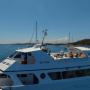 Caricato da visitatore il 31/01/2017 - Navetta Sea Star