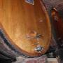 Cantina Vini