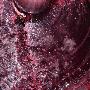 Nebbiolo