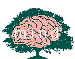 Studio Medico Mind