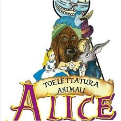Toelettatura di Alice