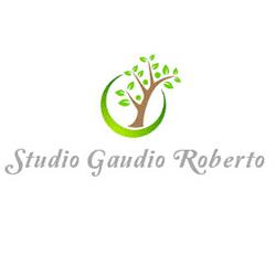 Studio Gaudio Roberto