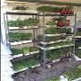 Spazio Verde - Prodotti per L'Agricoltura