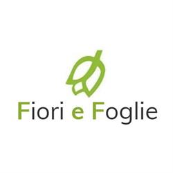 Fiori e Foglie