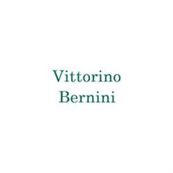 Istituto Vittorino Bernini Italscuole