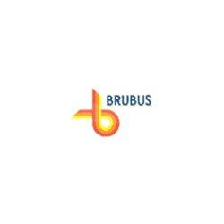 Brubus Servizi Turistici - Autonoleggio