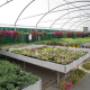 Garden Mattarana Vivaio