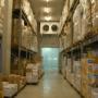 Distribuzione Organizzata