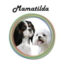 Mamatilda Allevamento