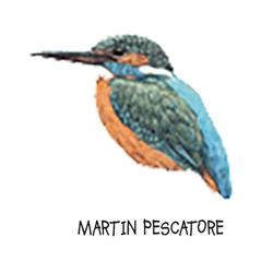 Martin Pescatore