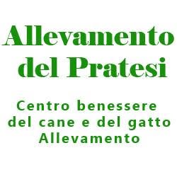 Allevamento del Pratesi