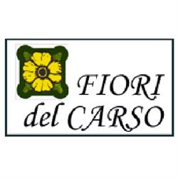 Fiori del Carso