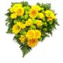 Fiori