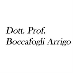 Boccafogli Dott.  Prof. Arrigo Allergologo