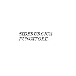Siderurgica Pungitore
