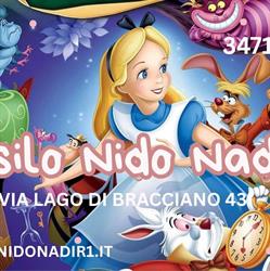 Asilo Nido Nadir