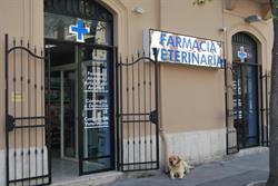 Farmacia Veterinaria