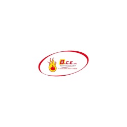 B.C.E.