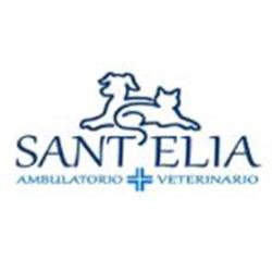 Ambulatorio Veterinario Sant'Elia