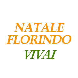 Natale Florindo Vivai