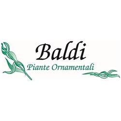 Baldi Piante