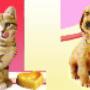 Cani e Gatti
