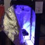 Semi cannabis canapa canapaio idroponica marijuana arezzo