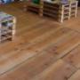 Semi cannabis arezzo canapa canapaio weed marijuana zoe's seeds idroponica