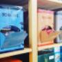 Gallery Cliente