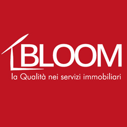 Bloom