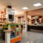 Gallery Professionale