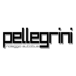 Autoservizi Pellegrini