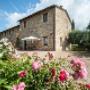 Gallery Professionale
