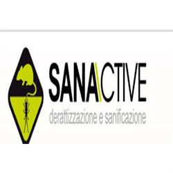 Sanactive