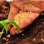 Agrigarden Prodotti per L'Agricoltura