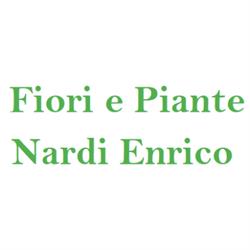 Fiori e Piante Nardi Enrico