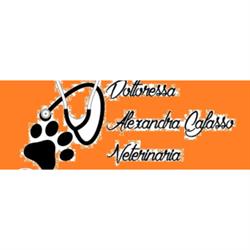 Studio Veterinario Dr.ssa Alexandra Cafasso