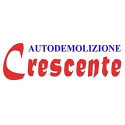 Autodemolizione Crescente
