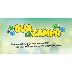 Qua La Zampa