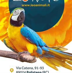 Leo Animali