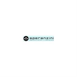 Agenzia D'Affari in Mediazione Speranzini