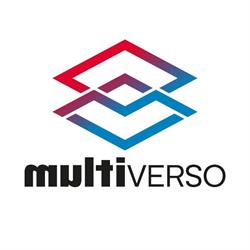 Studio Multiverso Consulting S.r.l. S.T.P.