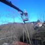Strade Boschive